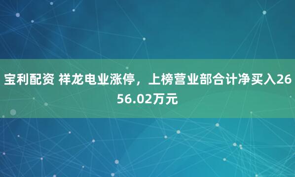宝利配资 祥龙电业涨停，上榜营业部合计净买入2656.02万元