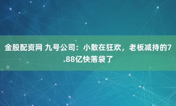 金股配资网 九号公司：小散在狂欢，老板减持的7.88亿快落袋了